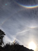 Rainbow and Sun Dog Phenomenon